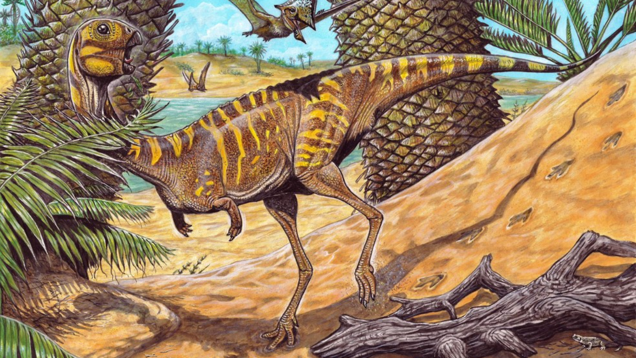 ‘Bertha’: Nova espécie de dinossauro brasileiro é anunciada pelo Museu Nacional