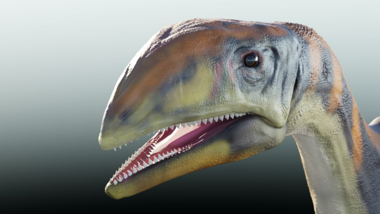 Estudo descobre nova espécie de dinossauro na Groenlândia