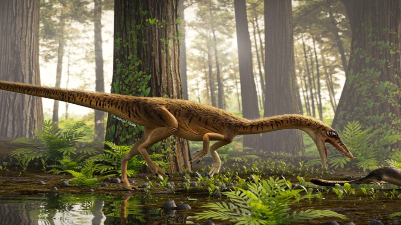 Caçador vermelho do Rio Jacuí: antepassado de T-rex é encontrado no Rio Grande do Sul