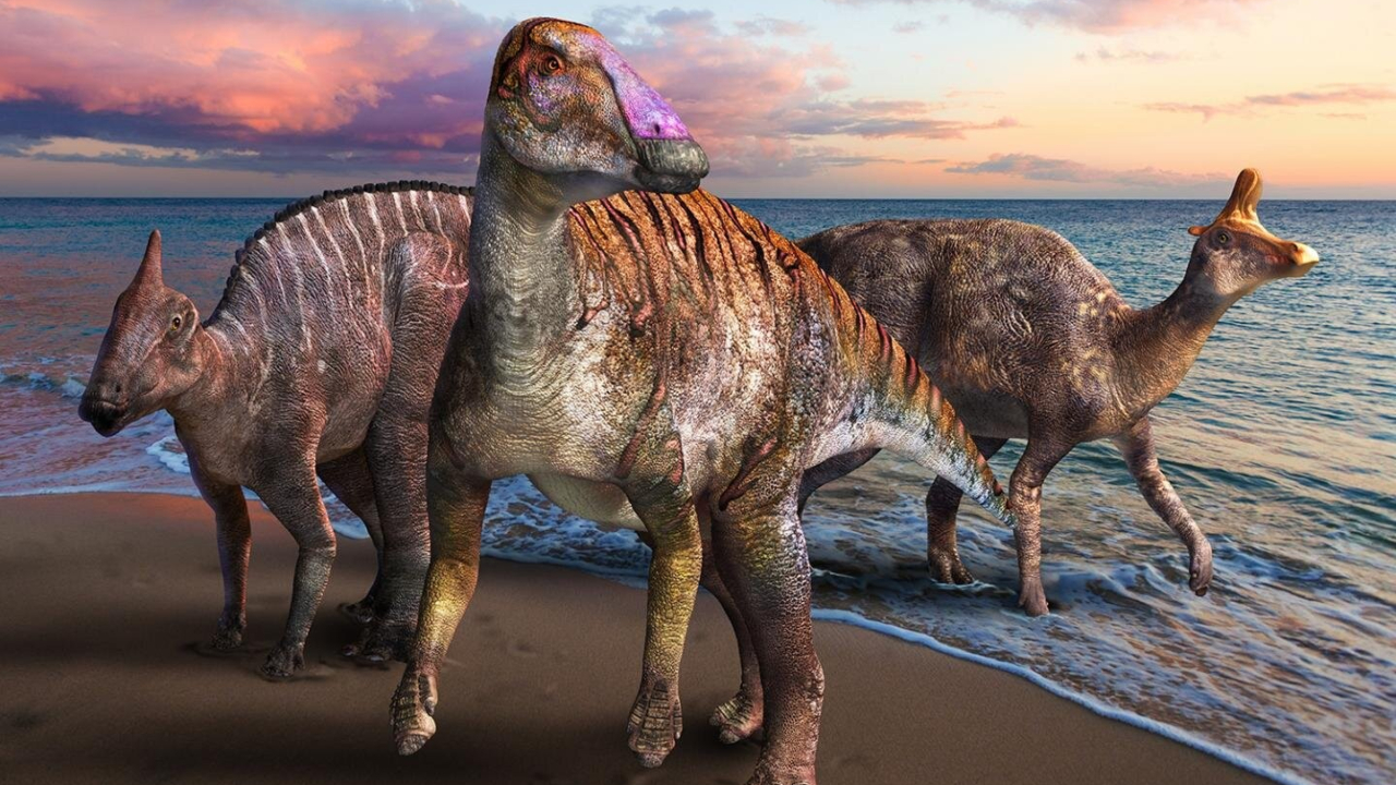 No Japão, cientistas classificam nova espécie de dinossauro com ‘bico de pato’