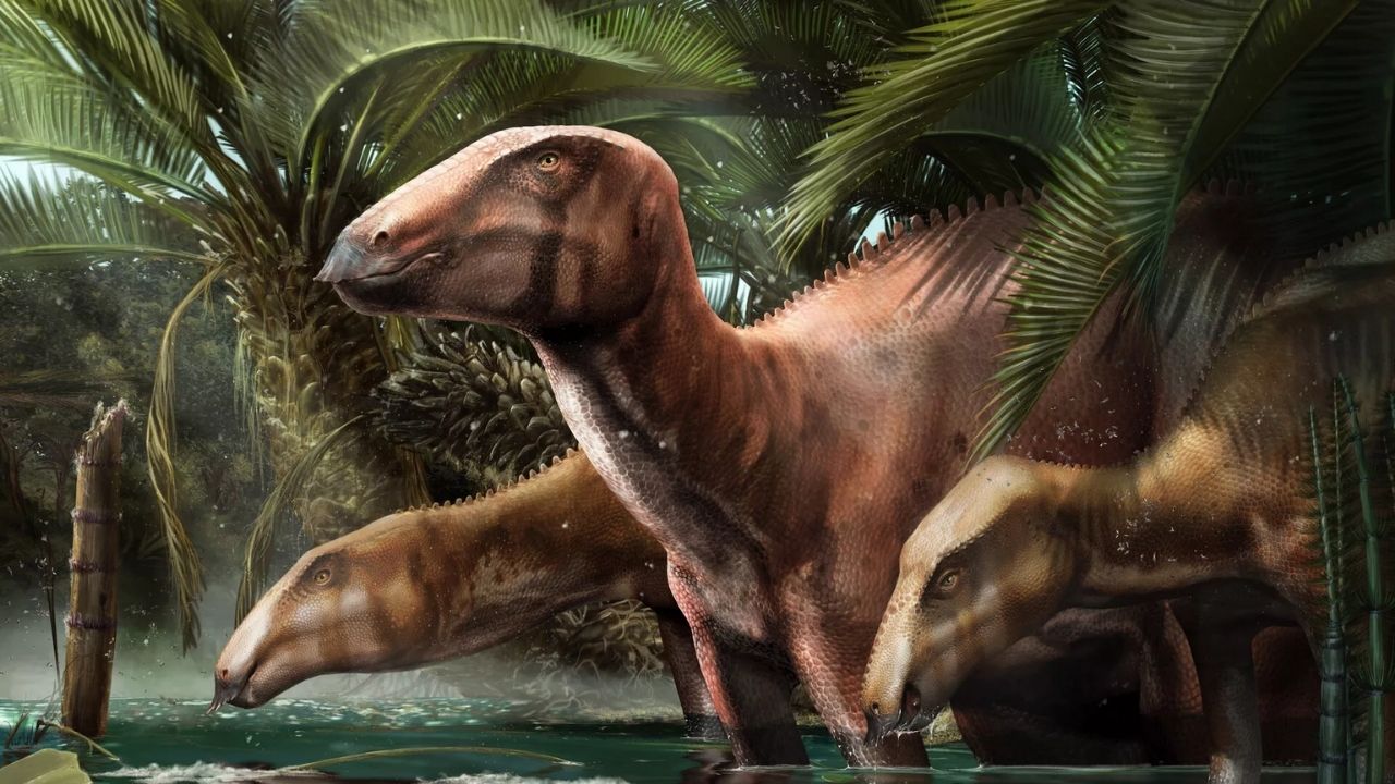 Fósseis de dinossauros são encontrados em 1º sítio paleontológico italiano