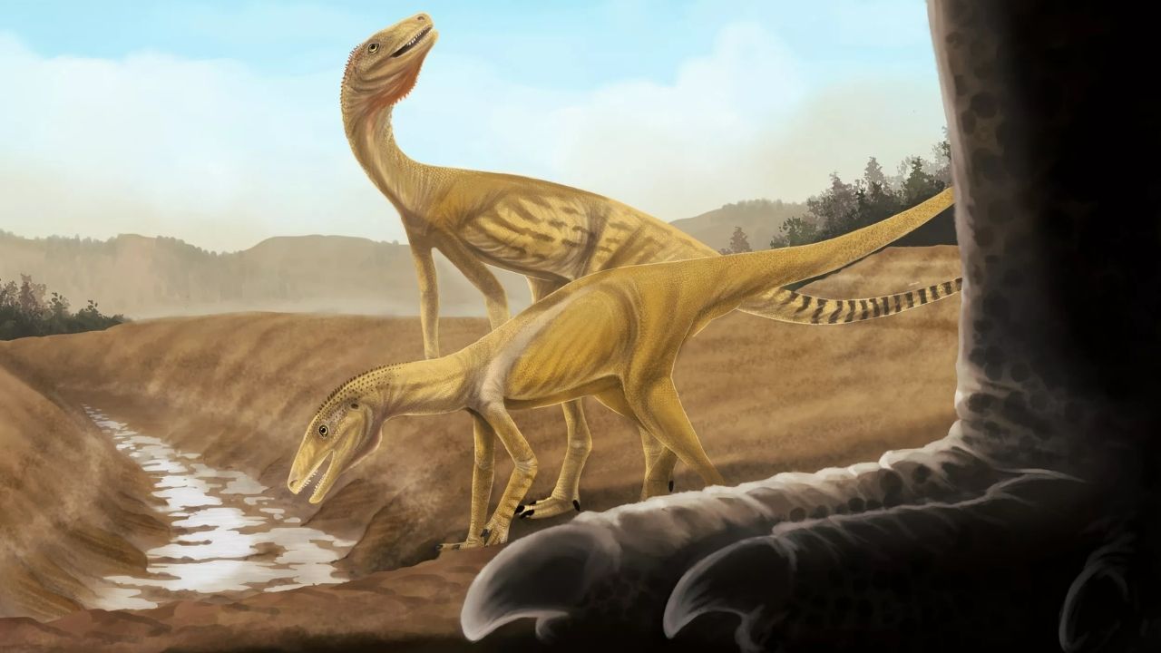Osso de ancestral de dinossauro mais antigo da América do Sul é encontrado no RS