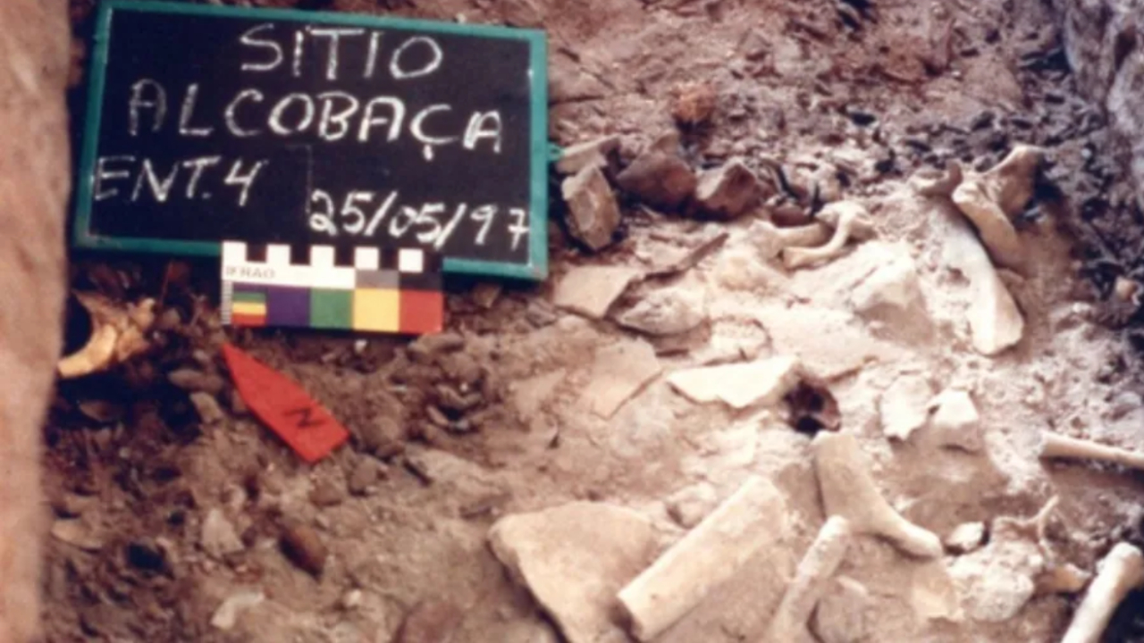 Análise de DNA de antigos indígenas ajuda a entender rotas humanas