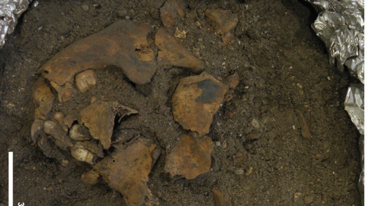 Túmulo de 8 mil anos de criança sem ossos do braço e perna é encontrado na Indonésia