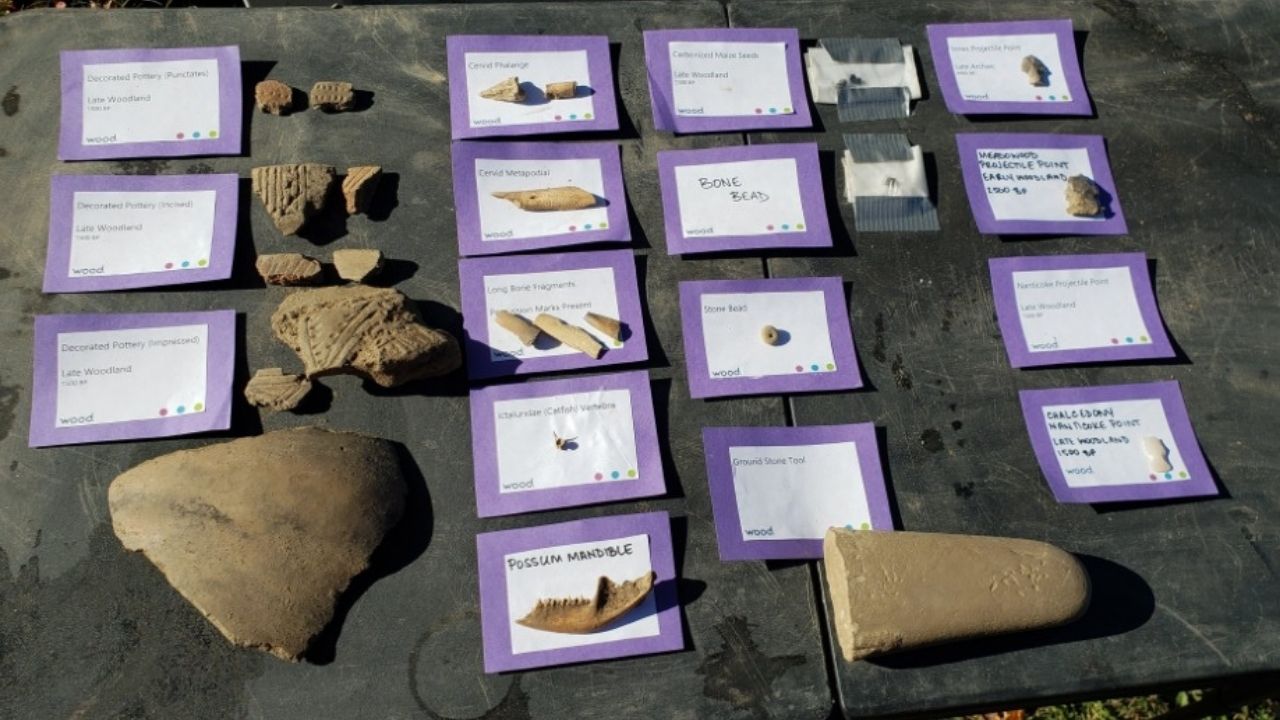 Inúmeros objetos de antiga aldeia são desenterrados em província canadense