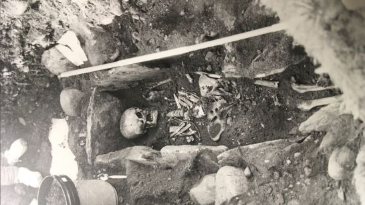 Pesquisa analisa verdadeiras origens de homem medieval