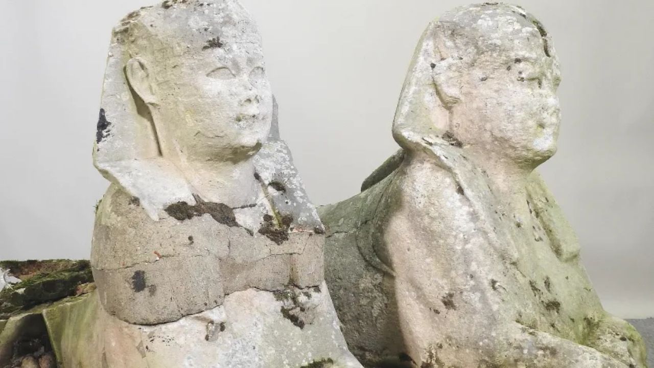 A família que descobriu ter relíquias egípcias de R$ 1,4 milhão no jardim de casa