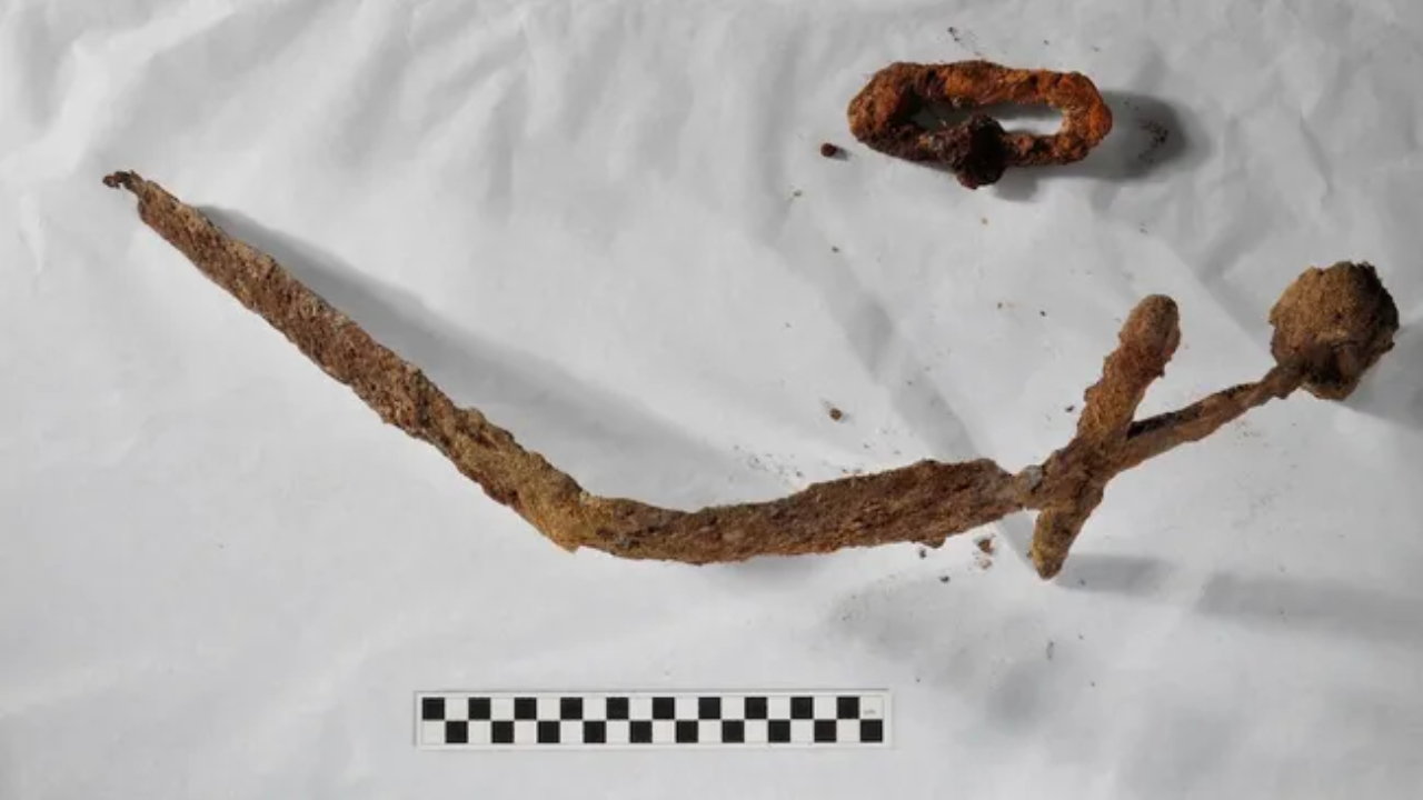 Espada de 1.000 anos das Cruzadas Suecas é descoberta em quintal na Finlândia