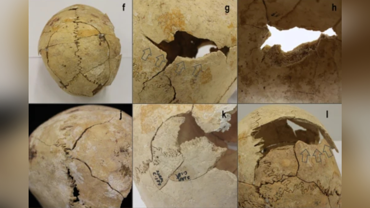Restos mortais em caverna na Espanha sugerem guerra de 5 mil anos atrás