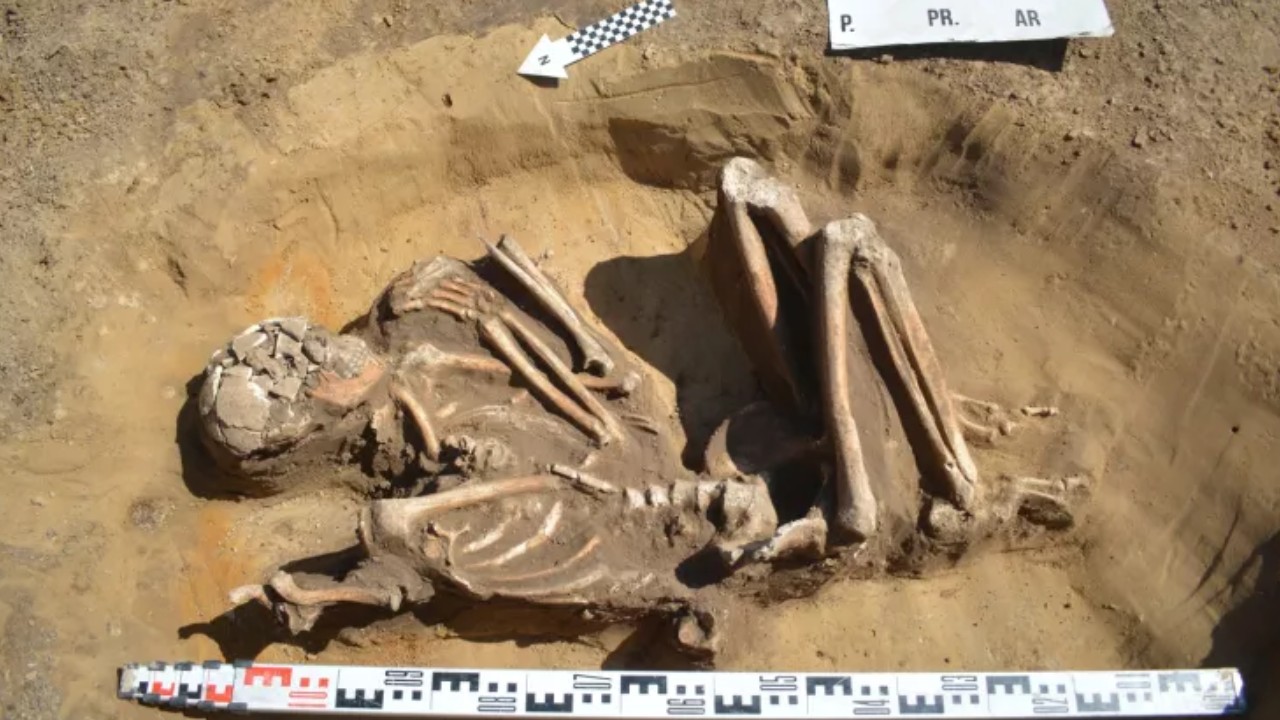 Esqueleto completo de 7000 anos é encontrado durante reforma na Polônia