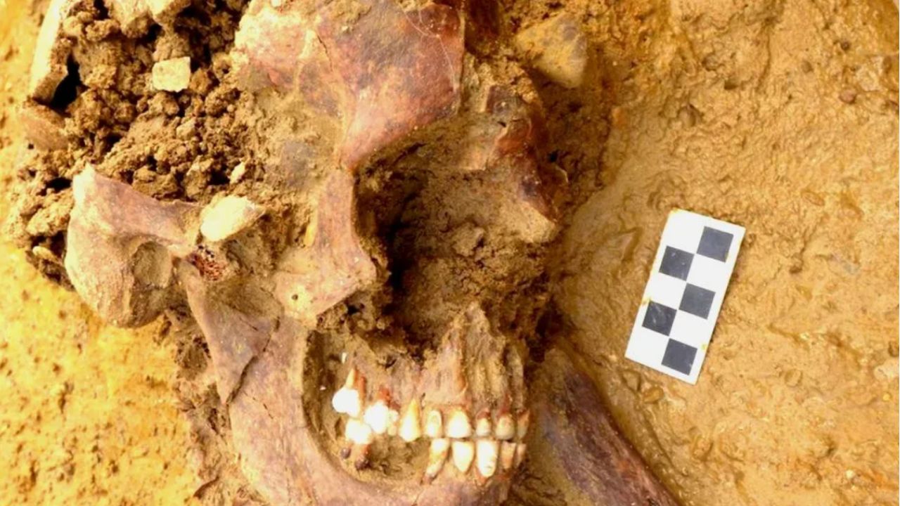 Cientistas resolvem mistério de 2 mil anos envolvendo esqueleto imigrante