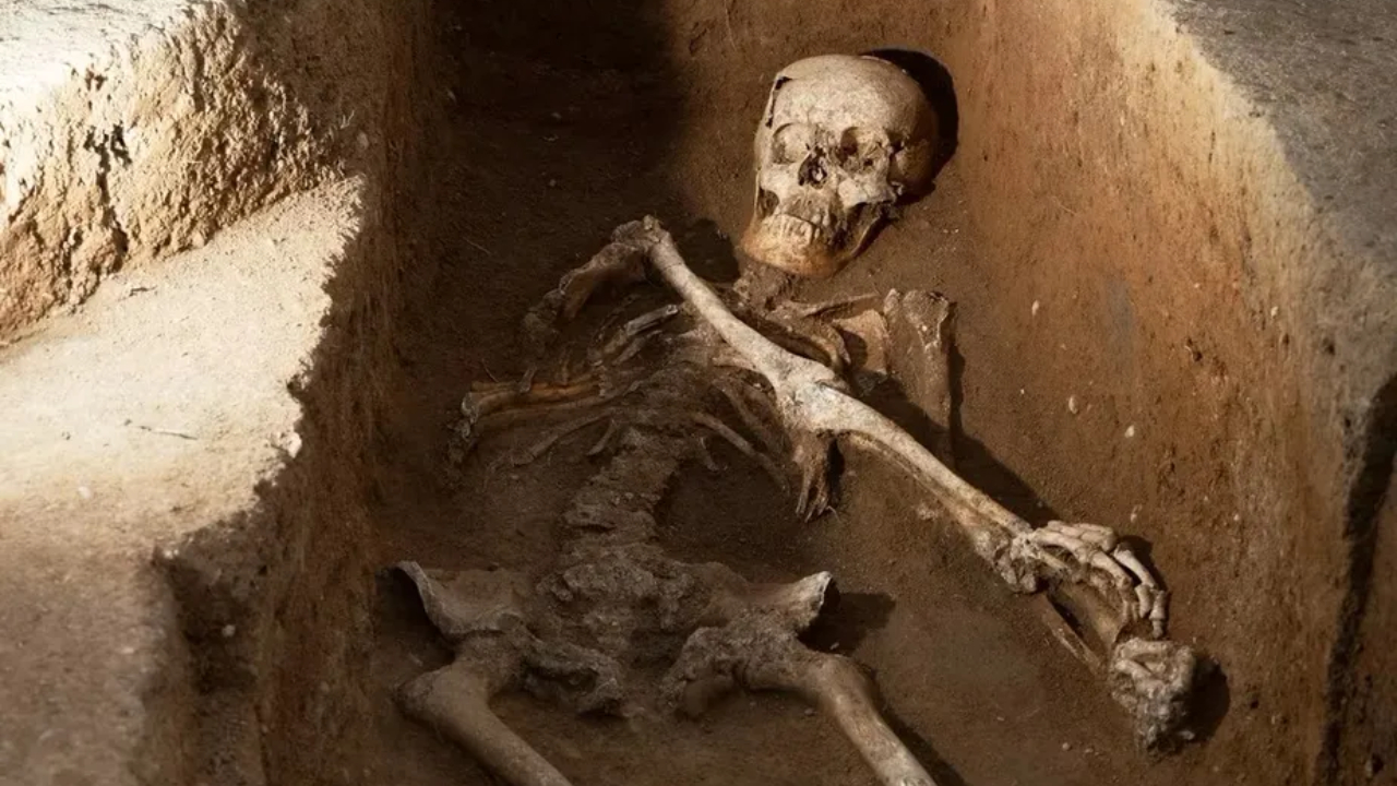 Esqueleto de 400 anos pertenceu a um dos primeiros colonos europeus na América