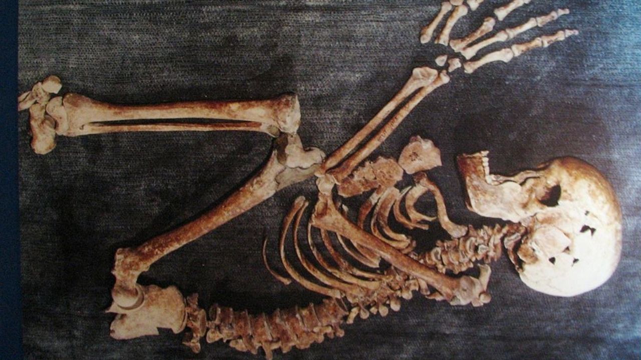 O intrigante esqueleto da vila neolítica submersa de Atlit Yam