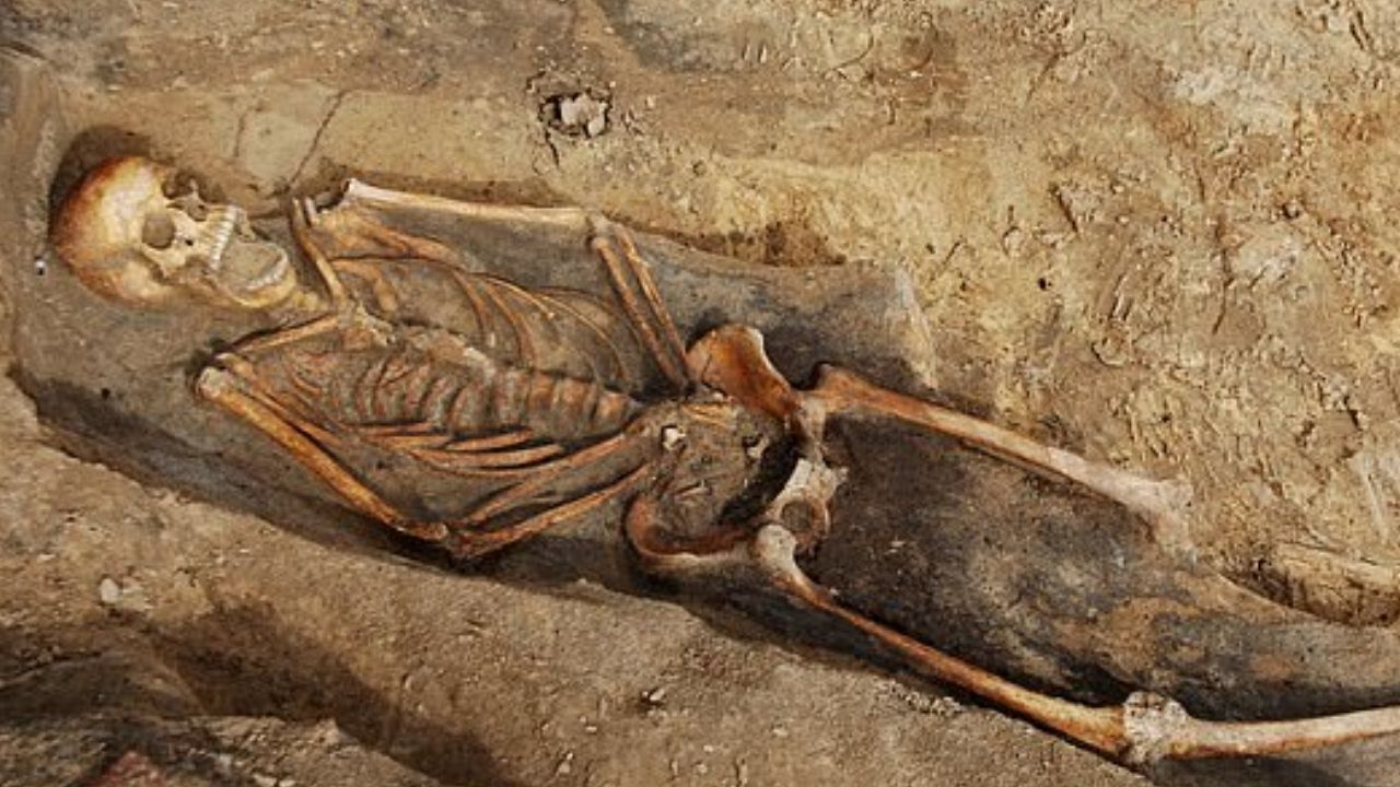 Cemitério medieval encontrado em Berlim revela mortes brutais