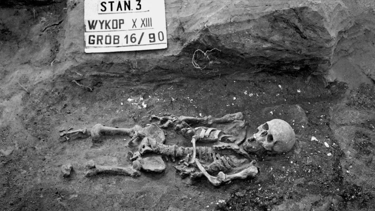 Esqueleto medieval com duas formas de nanismo é descoberto na Polônia