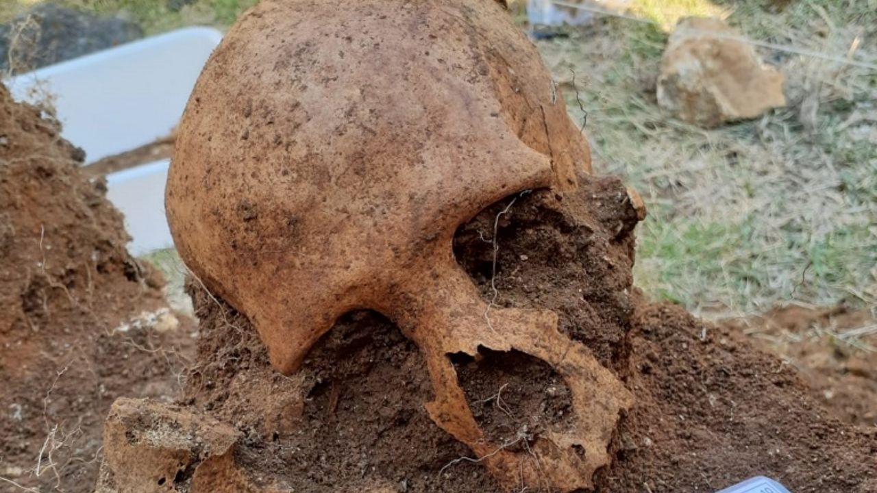 Descobertos ao acaso: Os esqueletos que remontam à época da Gripe Espanhola