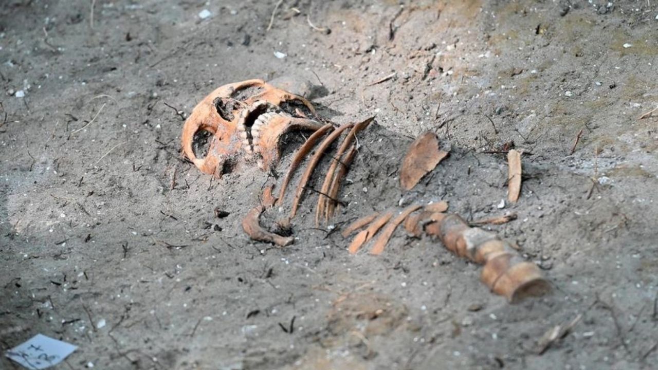 Pesquisadores identificam esqueletos de soldados poloneses mortos na Segunda Guerra