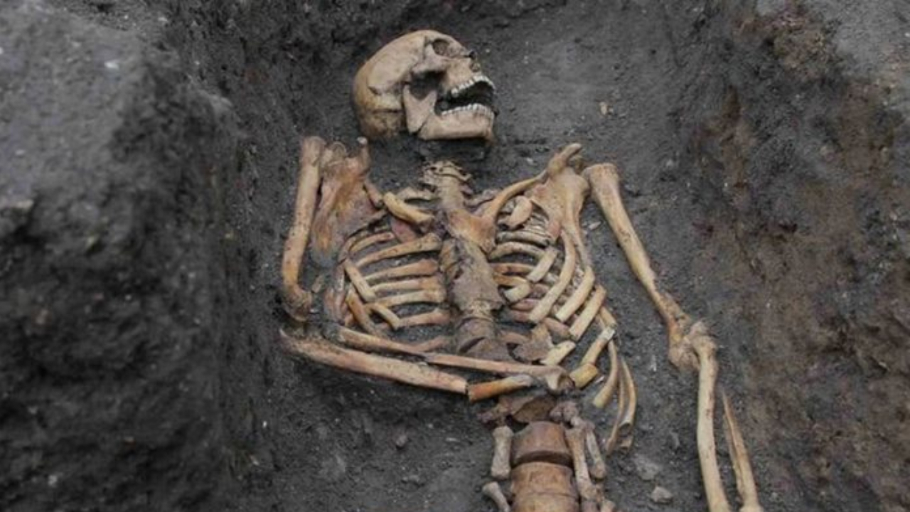 Sintoma da desigualdade social: Relembre a descoberta dos esqueletos britânicos com ‘traumas nos ossos’