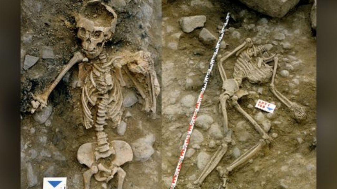 Decapitação e amputação: Arqueólogos analisam restos de massacre da Idade do Ferro