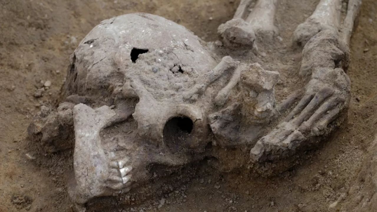 Cabeças enterradas ao lado dos pés: Os esqueletos romanos decapitados da Fazenda de Knobb