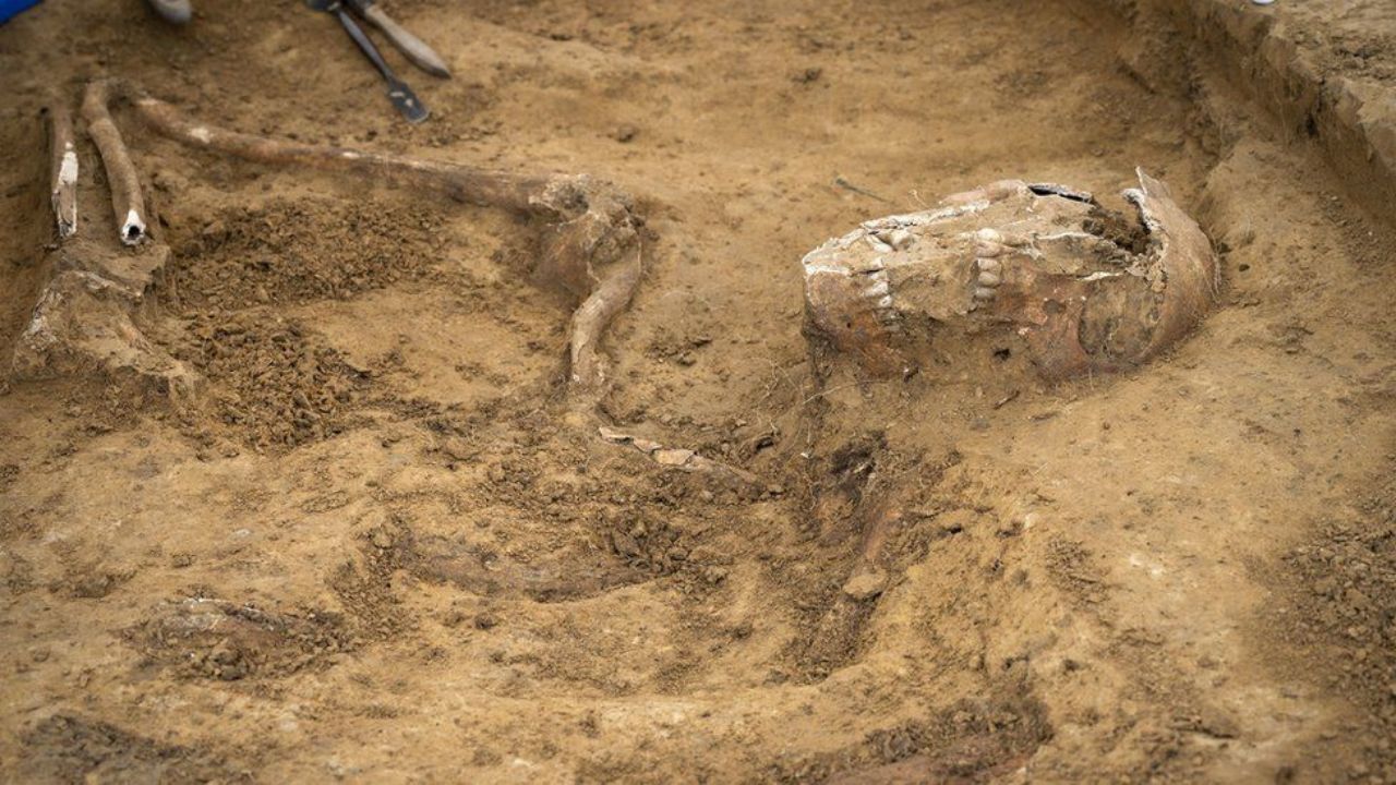 Esqueletos de soldados que morreram na última batalha de Napoleão são encontrados