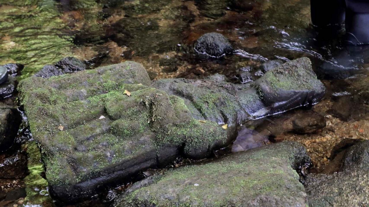 Pescador encontra impressionante escultura gótica da Virgem Maria