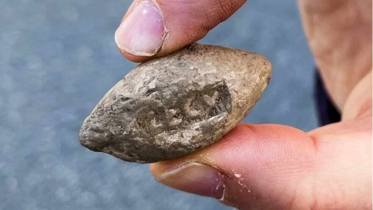Vestígios de antigo campo de batalha romano são encontrados na Suíça