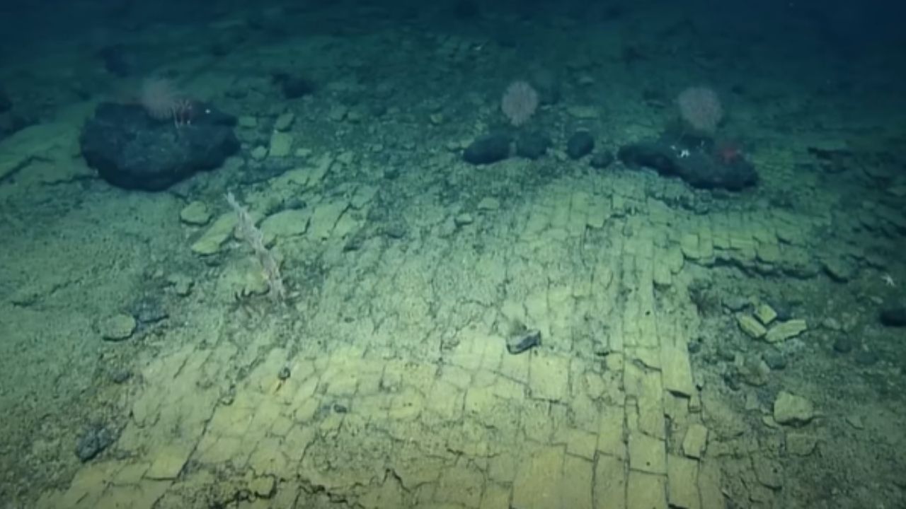 ‘Estrada’ de tijolos amarelos: o curioso caminho encontrado em vulcão submarino