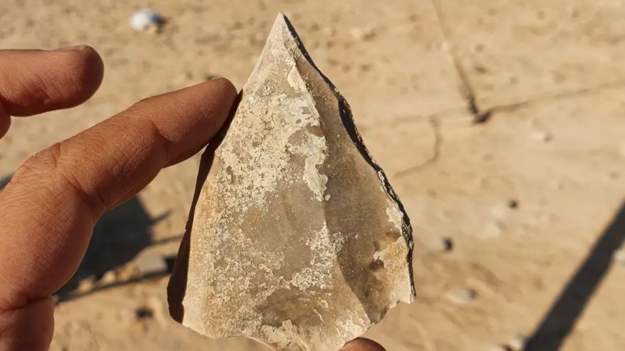 Ferramentas de 100 mil anos revelam detalhes sobre migração humana na pré-história