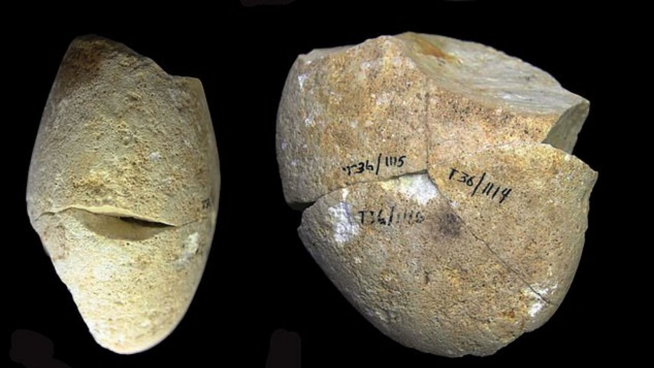 Arqueólogos identificam mais antiga ferramenta usada por humanos em Israel