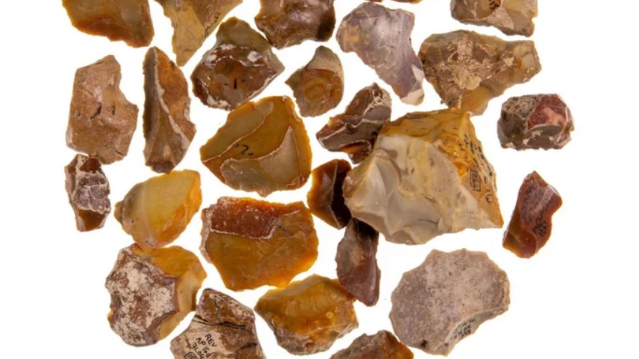 Mais lidas: Por que humanos pré-históricos coletavam ferramentas antigas?