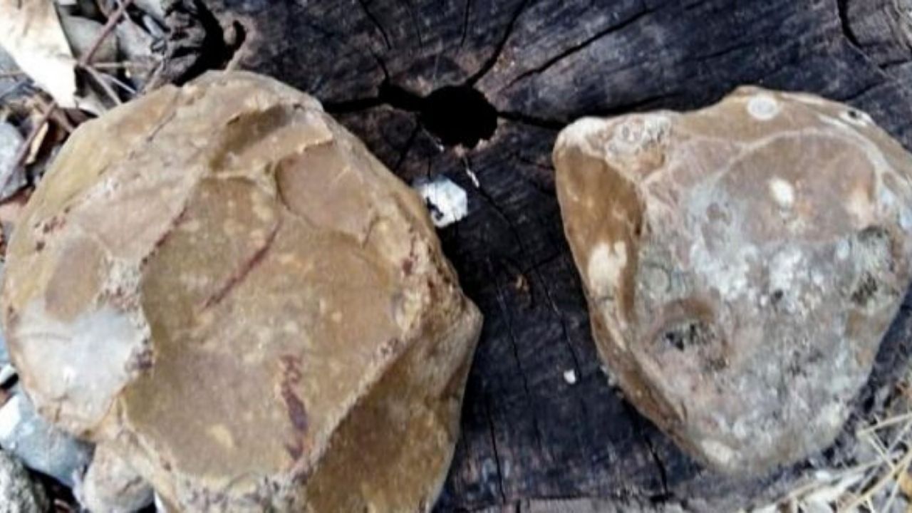Ferramentas neandertais são encontradas às margens de rio na Síria