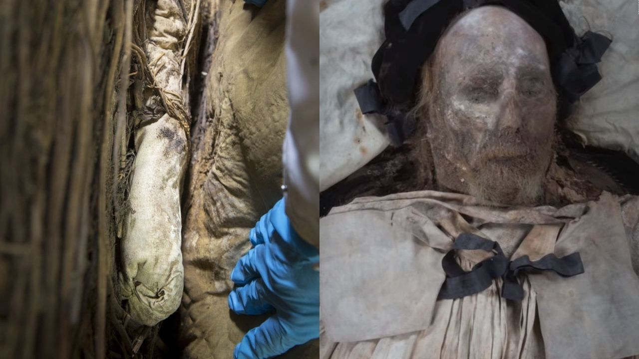O curioso caso do feto encontrado no caixão de bispo morto em 1679