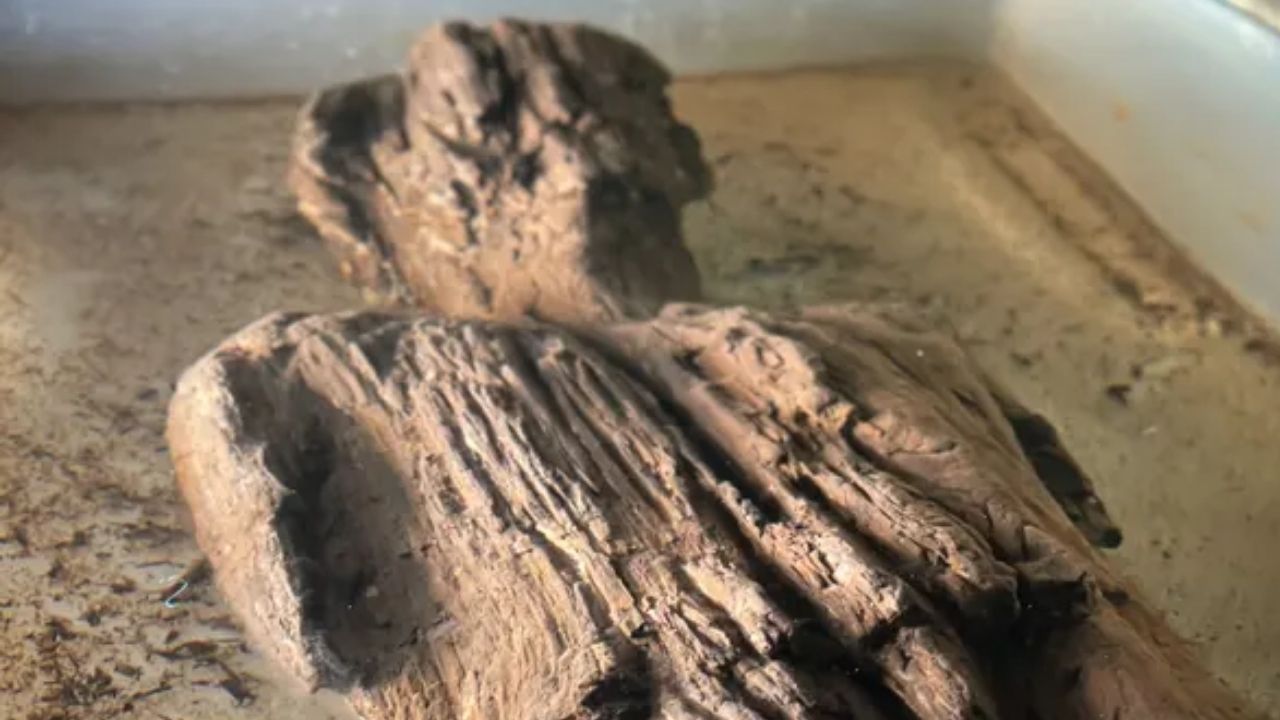 Rara escultura romana de madeira é encontrada no Reino Unido