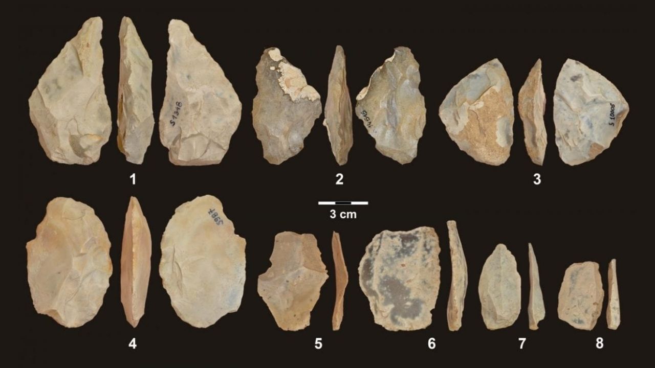 Pesquisadores descobrem DNA de neandertal mais antigo já encontrado na Europa