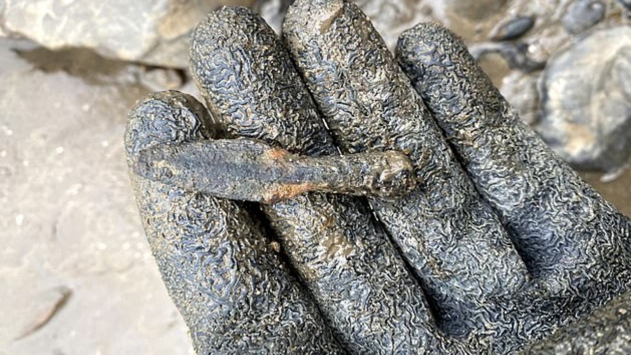 Rara ponta de flecha de 900 anos é encontrada no rio Tâmisa, na Inglaterra