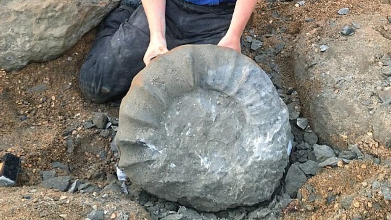 Jovens encontram colossal fóssil de 155 milhões de anos, na Inglaterra