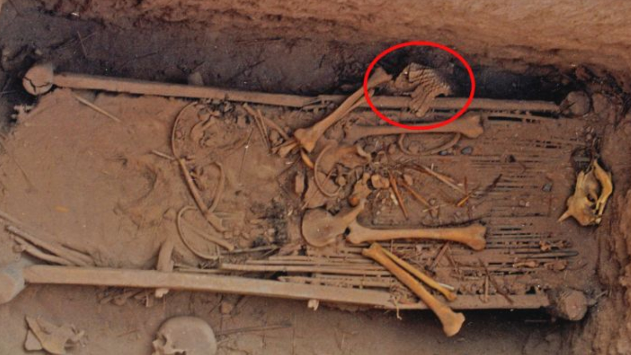 Cientistas identificam armadura biônica de 2,5 mil anos na China