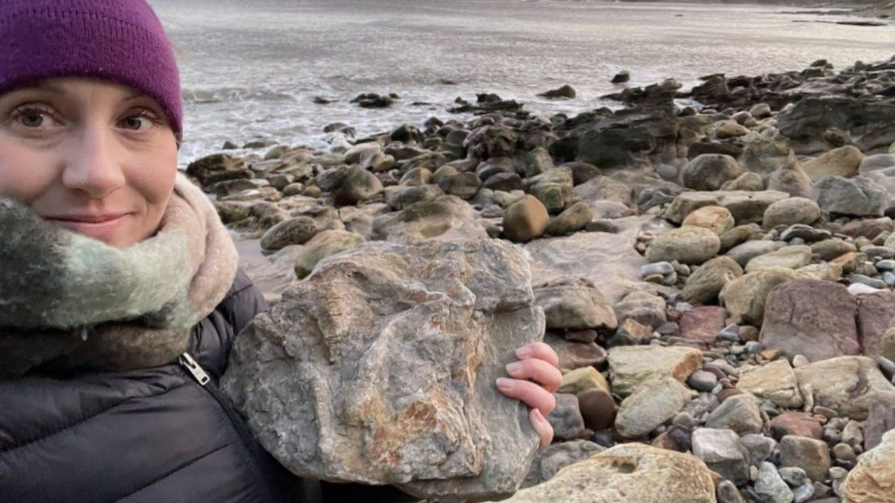Pegadas de dinossauros são descobertas ao acaso na Inglaterra