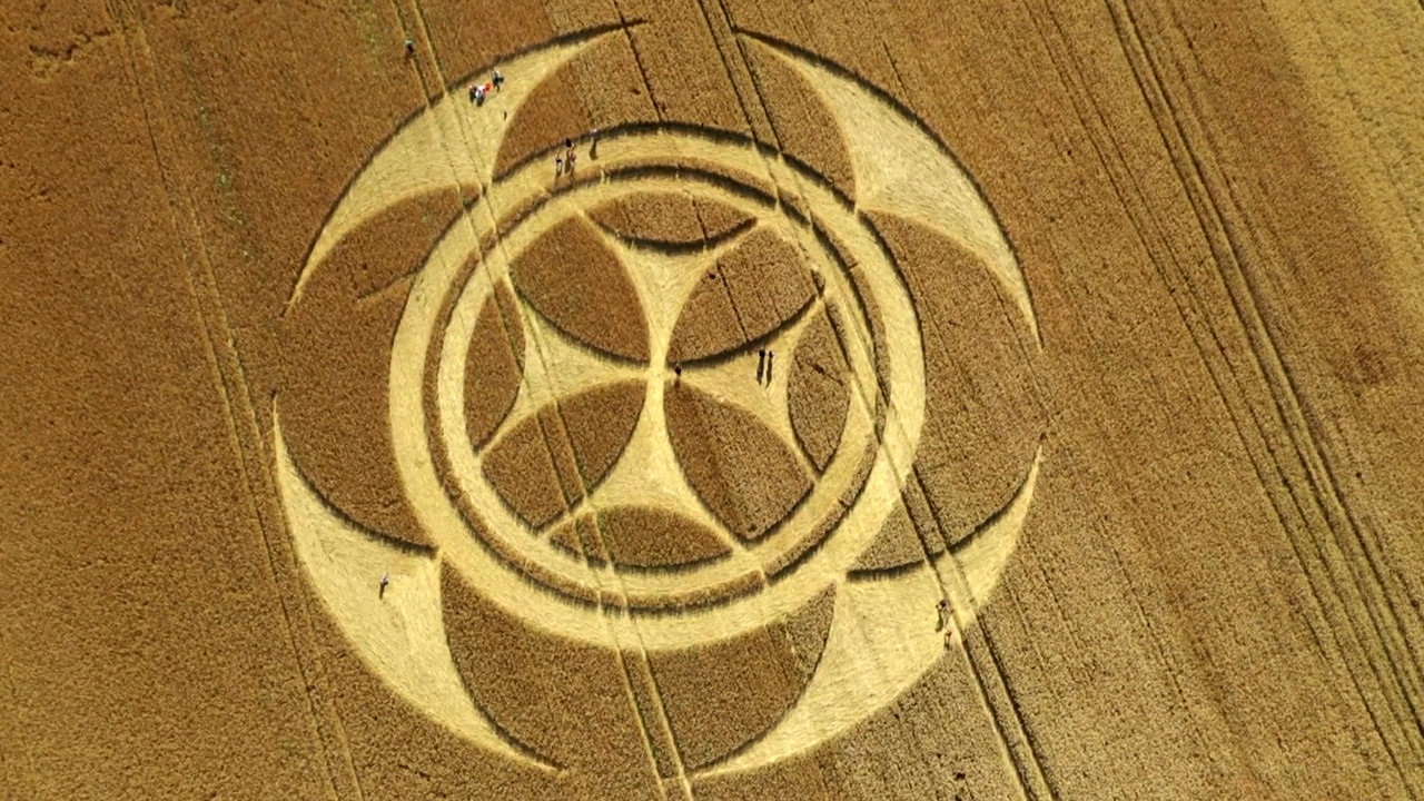 Desenho misterioso em fazenda intriga moradores e curiosos na França