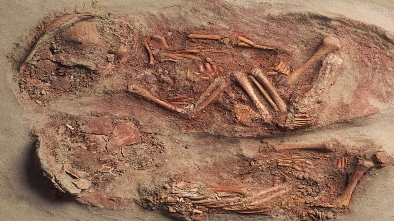 Evidência mais antiga da existência de irmãos gêmeos é encontrada na Áustria