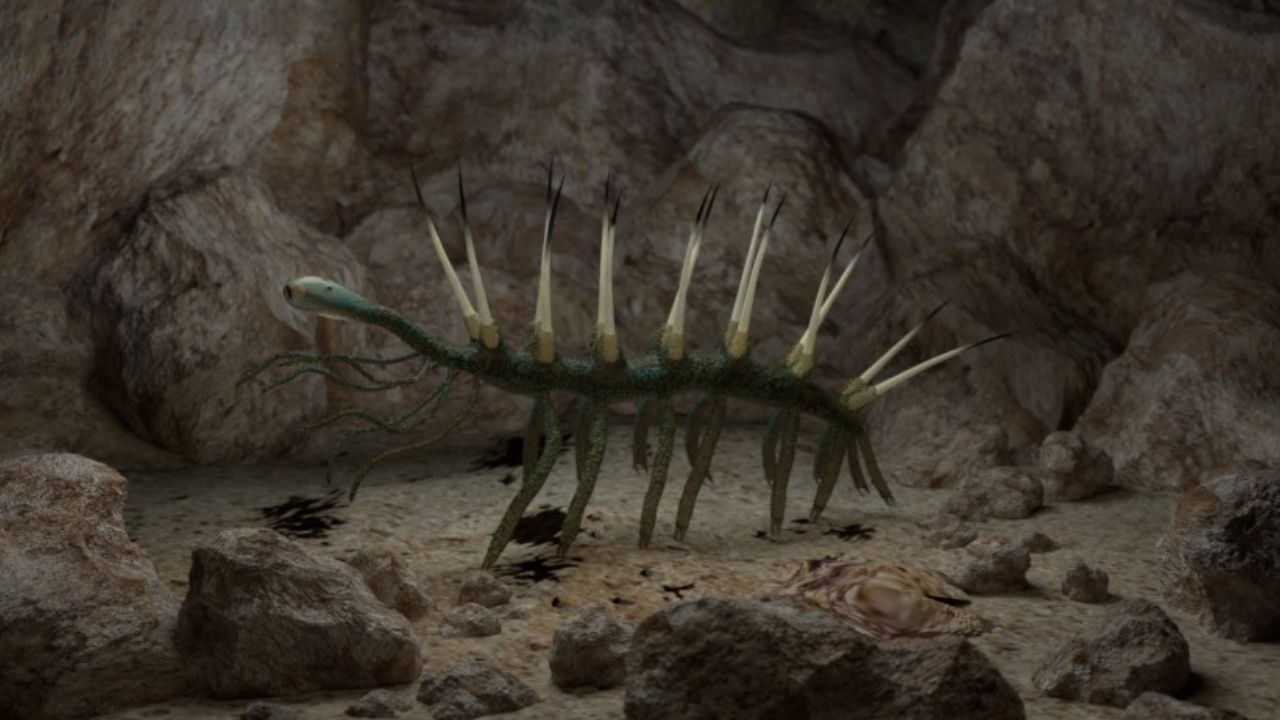 Hallucigenia, a curiosa minhoca pré-histórica que ‘sorri’