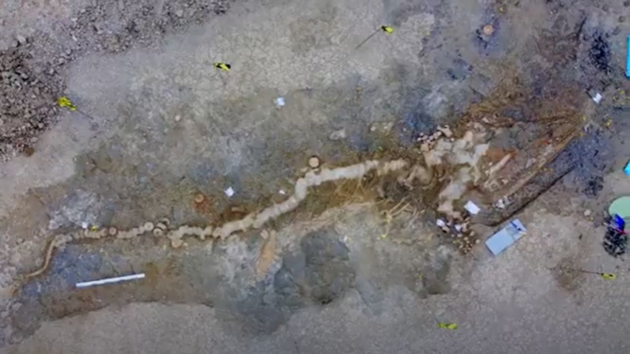Mais lidas: Esqueleto de gigantesco ‘dragão marinho’ é descoberto no Reino Unido