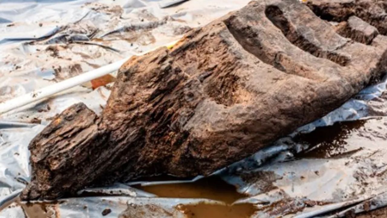 Arqueólogos descobrem escultura pagã de 2,5 de madeira na Irlanda