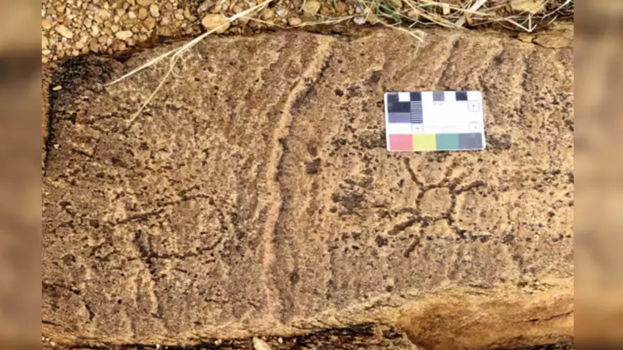 Evidências pré-históricas são encontradas arqueólogos, na Índia