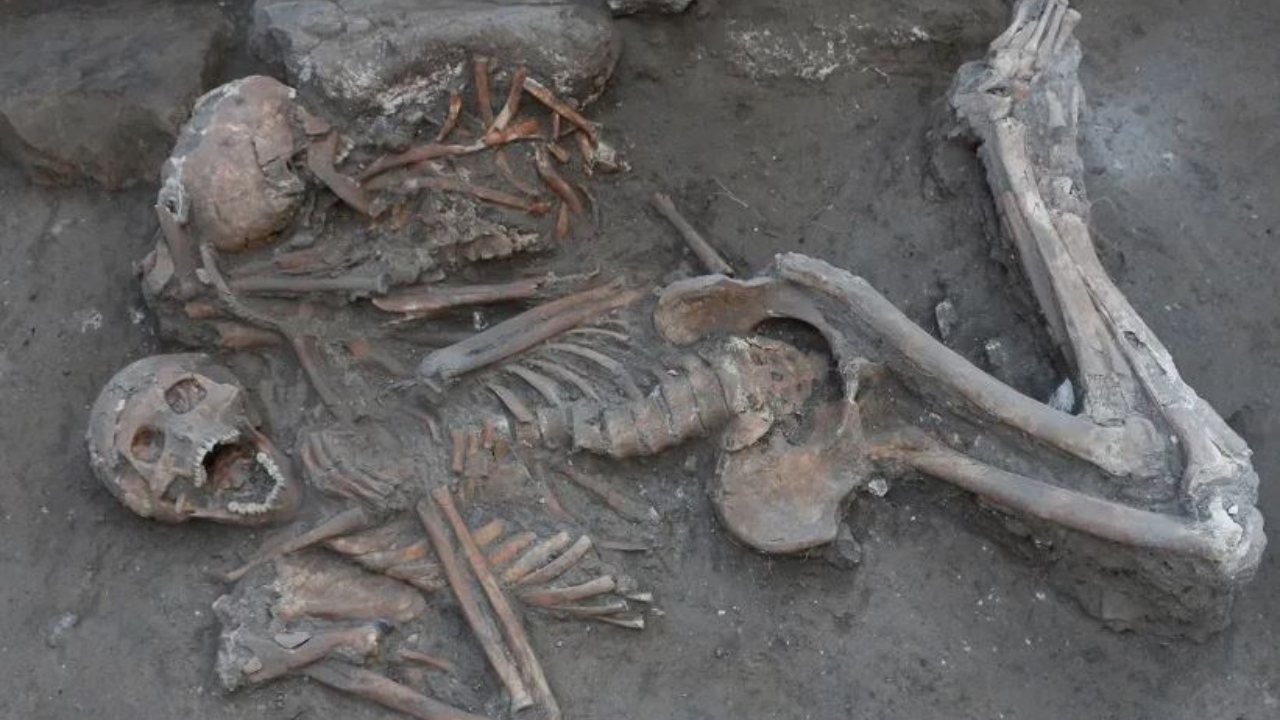 Idade de Bronze: Homem da elite fez cirurgia no crânio há mais de 3 mil anos