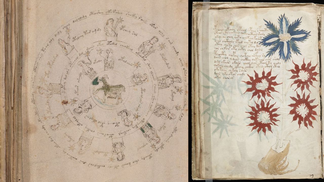 Manuscrito de Voynich: Texto enigmático pode conter segredos sexuais medievais