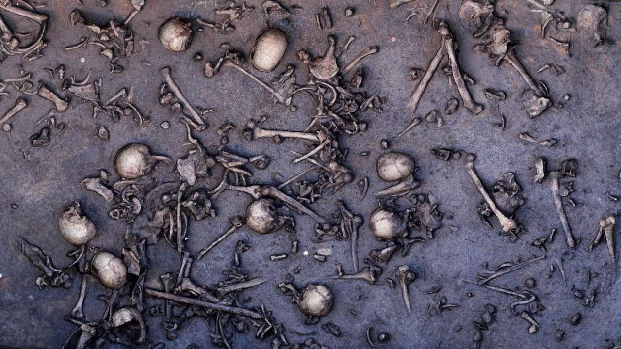 Restos mortais de batalha ocorrida há 3.500 anos seriam, na verdade, de antigo massacre