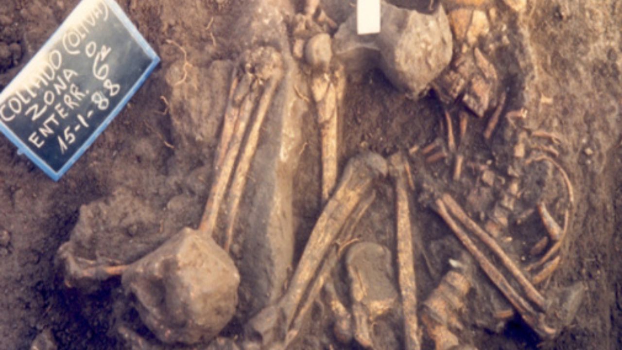 Estudo descobre que dieta mediterrânea de 9 mil anos atrás incluía peixes e frutos do mar