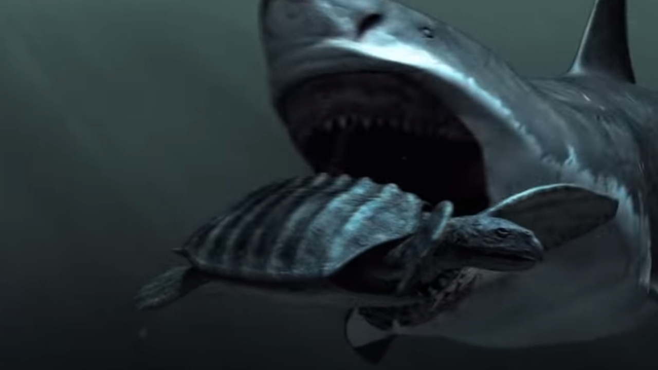 Pesquisa investiga o que teria causado a extinção do Megalodon